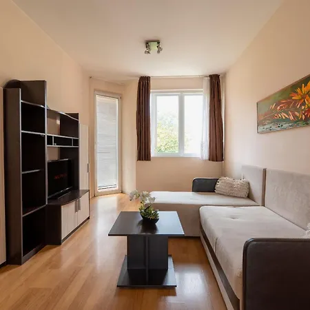 Apartament One-bedroom In The Center