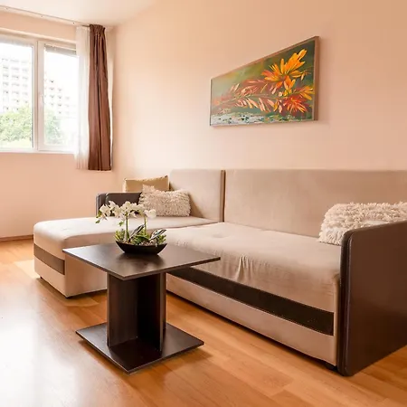 Apartament One-bedroom In The Center