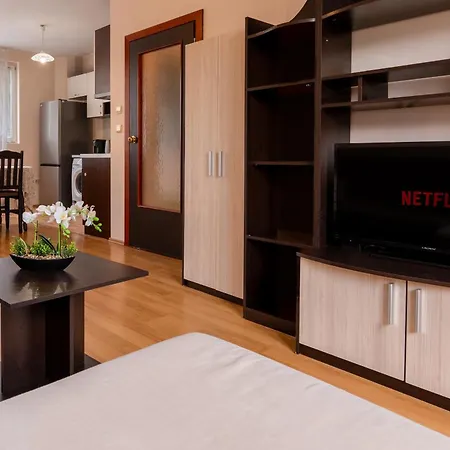 Apartament One-bedroom In The Center
